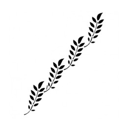 copy of 